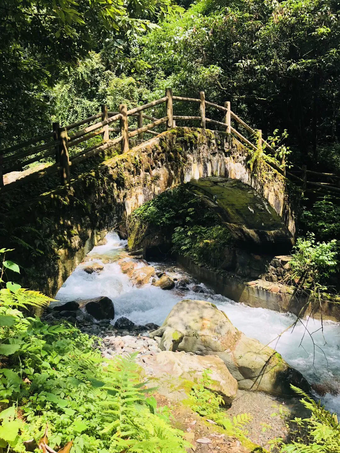lpl买押注那个app靠谱点的